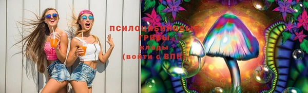 ПСИЛОЦИБИНОВЫЕ ГРИБЫ Абаза