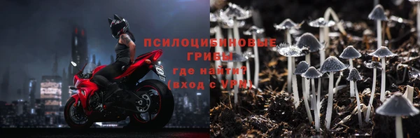 ПСИЛОЦИБИНОВЫЕ ГРИБЫ Абаза