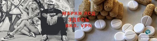 ПСИЛОЦИБИНОВЫЕ ГРИБЫ Абаза