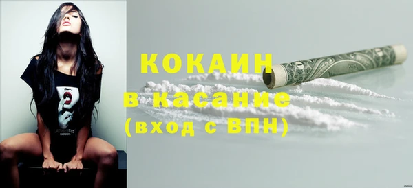 ПСИЛОЦИБИНОВЫЕ ГРИБЫ Абаза