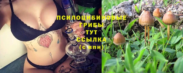 ПСИЛОЦИБИНОВЫЕ ГРИБЫ Абаза