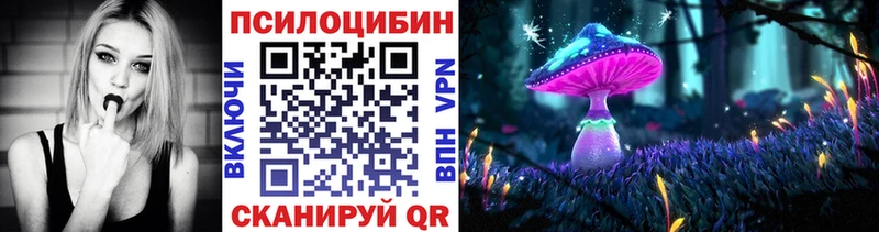 Псилоцибиновые грибы Psilocybe Питкяранта